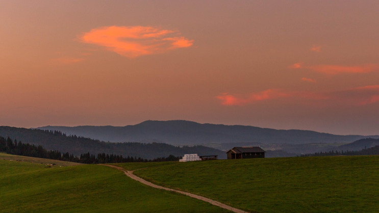 agriculture fields from satellite